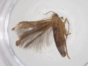  ( - CBG-A60861-E08)  @11 [ ] CreativeCommons - Attribution Share - Alike (2024) Centre for Biodiversity Genomics Centre for Biodiversity Genomics