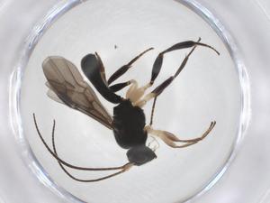  ( - CBG-A40275-E05)  @11 [ ] CreativeCommons - Attribution Share - Alike (2024) Centre for Biodiversity Genomics Centre for Biodiversity Genomics