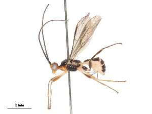  ( - CBG-A51063-E09)  @11 [ ] CreativeCommons - Attribution Share - Alike (2024) CBG Photography Group Centre for Biodiversity Genomics