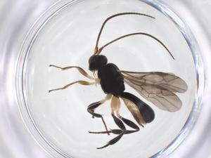  ( - CBG-A52846-H08)  @11 [ ] CreativeCommons - Attribution Share - Alike (2024) Centre for Biodiversity Genomics Centre for Biodiversity Genomics