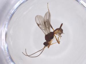  ( - CBG-A52847-E10)  @11 [ ] CreativeCommons - Attribution Share - Alike (2024) Centre for Biodiversity Genomics Centre for Biodiversity Genomics