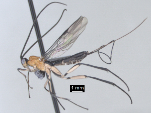  ( - MJS0388.9)  @11 [ ] CreativeCommons - Attribution Share - Alike (2024) Michael Sharkey University of Kentucky