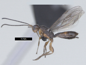  ( - MJS0389.4)  @11 [ ] CreativeCommons - Attribution Share - Alike (2024) Michael Sharkey University of Kentucky