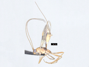  ( - MJS0389.7)  @11 [ ] CreativeCommons - Attribution Share - Alike (2024) Michael Sharkey University of Kentucky