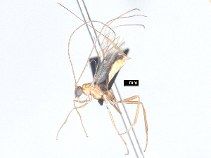  ( - MJS0389.8)  @11 [ ] CreativeCommons - Attribution Share - Alike (2024) Michael Sharkey University of Kentucky