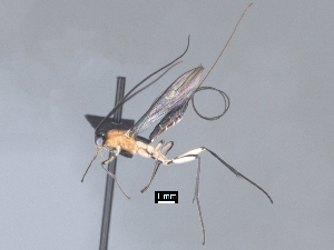  ( - MJS0392.10)  @11 [ ] CreativeCommons - Attribution Share - Alike (2024) Michael Sharkey University of Kentucky