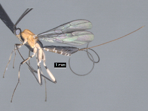  ( - MJS0392.9)  @11 [ ] CreativeCommons - Attribution Share - Alike (2024) Michael Sharkey University of Kentucky