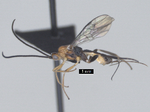  ( - MJS0395.4)  @11 [ ] CreativeCommons - Attribution Share - Alike (2024) Michael Sharkey University of Kentucky