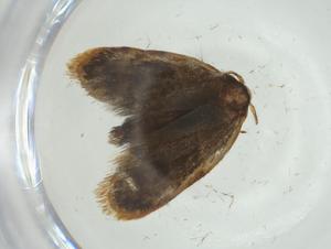  ( - CBG-A30371-F07)  @11 [ ] CreativeCommons - Attribution Share - Alike (2024) Centre for Biodiversity Genomics Centre for Biodiversity Genomics