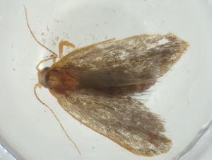  ( - CBG-A30374-E06)  @11 [ ] CreativeCommons - Attribution Share - Alike (2024) Centre for Biodiversity Genomics Centre for Biodiversity Genomics