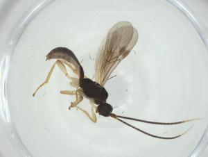  ( - CBG-A30548-E03)  @11 [ ] CreativeCommons - Attribution Share - Alike (2024) Centre for Biodiversity Genomics Centre for Biodiversity Genomics