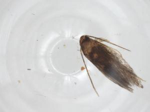  ( - CBG-A31522-A07)  @11 [ ] CreativeCommons - Attribution Share - Alike (2024) Centre for Biodiversity Genomics Centre for Biodiversity Genomics