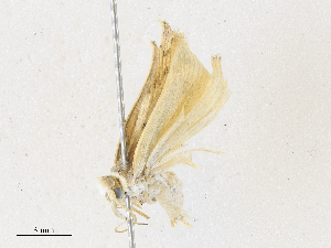  ( - CBG-A31761-E07)  @11 [ ] CreativeCommons - Attribution Share - Alike (2024) CBG Photography Group Centre for Biodiversity Genomics