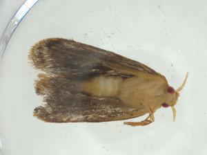  ( - CBG-A32742-G04)  @11 [ ] CreativeCommons - Attribution Share - Alike (2024) Centre for Biodiversity Genomics Centre for Biodiversity Genomics