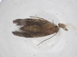  ( - CBG-A66756-D04)  @11 [ ] CreativeCommons - Attribution Share - Alike (2025) Centre for Biodiversity Genomics Centre for Biodiversity Genomics