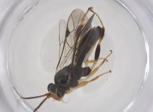  ( - CBG-A66947-D07)  @11 [ ] CreativeCommons - Attribution Share - Alike (2025) Centre for Biodiversity Genomics Centre for Biodiversity Genomics