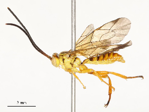  ( - CBG-A67026-A07)  @11 [ ] CreativeCommons - Attribution Share - Alike (2025) CBG Photography Group Centre for Biodiversity Genomics