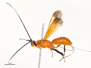  ( - CBG-A67028-C05)  @11 [ ] CreativeCommons - Attribution Share - Alike (2025) CBG Photography Group Centre for Biodiversity Genomics