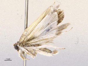  ( - CBG-A67108-E07)  @11 [ ] CreativeCommons - Attribution Share - Alike (2025) CBG Photography Group Centre for Biodiversity Genomics