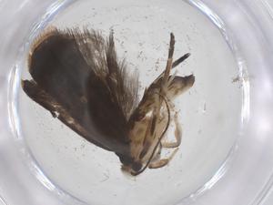  ( - CBG-A67317-F05)  @11 [ ] CreativeCommons - Attribution Share - Alike (2025) Centre for Biodiversity Genomics Centre for Biodiversity Genomics