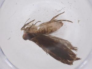  ( - CBG-A67344-C03)  @11 [ ] CreativeCommons - Attribution Share - Alike (2025) Centre for Biodiversity Genomics Centre for Biodiversity Genomics