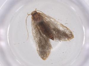  ( - CBG-A67548-B03)  @11 [ ] CreativeCommons - Attribution Share - Alike (2025) Centre for Biodiversity Genomics Centre for Biodiversity Genomics