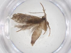  ( - CBG-A67612-F04)  @11 [ ] CreativeCommons - Attribution Share - Alike (2025) Centre for Biodiversity Genomics Centre for Biodiversity Genomics