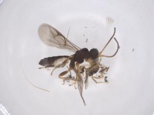  ( - CBG-A67624-E03)  @11 [ ] CreativeCommons - Attribution Share - Alike (2025) Centre for Biodiversity Genomics Centre for Biodiversity Genomics