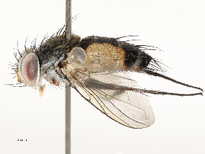  ( - CBG-A67904-E11)  @11 [ ] CreativeCommons - Attribution Share - Alike (2025) CBG Photography Group Centre for Biodiversity Genomics