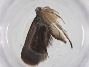  ( - CBG-A68130-B08)  @11 [ ] CreativeCommons - Attribution Share - Alike (2025) Centre for Biodiversity Genomics Centre for Biodiversity Genomics