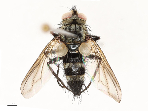  ( - CBG-A67023-E12)  @11 [ ] CreativeCommons - Attribution Share - Alike (2025) CBG Photography Group Centre for Biodiversity Genomics