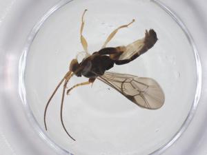  ( - CBG-A67540-E08)  @11 [ ] CreativeCommons - Attribution Share - Alike (2025) Centre for Biodiversity Genomics Centre for Biodiversity Genomics