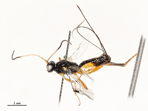  ( - CBG-A67857-D07)  @11 [ ] CreativeCommons - Attribution Share - Alike (2025) CBG Photography Group Centre for Biodiversity Genomics