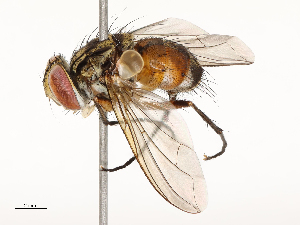  ( - CBG-A67899-E05)  @11 [ ] CreativeCommons - Attribution Share - Alike (2025) CBG Photography Group Centre for Biodiversity Genomics