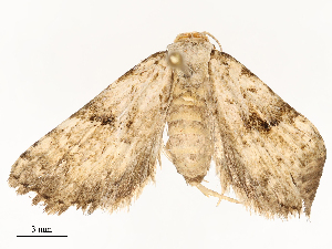  ( - CBG-A67900-E11)  @11 [ ] CreativeCommons - Attribution Share - Alike (2025) CBG Photography Group Centre for Biodiversity Genomics