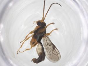  ( - CBG-A68676-H07)  @11 [ ] CreativeCommons - Attribution Share - Alike (2025) Centre for Biodiversity Genomics Centre for Biodiversity Genomics