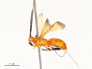  ( - CBG-A72926-G09)  @11 [ ] CreativeCommons - Attribution Share - Alike (2025) CBG Photography Group Centre for Biodiversity Genomics