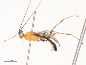  ( - CBG-B12677-D10)  @11 [ ] CreativeCommons - Attribution Share - Alike (2025) CBG Photography Group Centre for Biodiversity Genomics