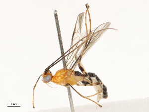  ( - CBG-B13774-D10)  @11 [ ] CreativeCommons - Attribution Share - Alike (2025) CBG Photography Group Centre for Biodiversity Genomics