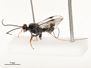  ( - CBG-B13901-C09)  @11 [ ] CreativeCommons - Attribution Share - Alike (2025) CBG Photography Group Centre for Biodiversity Genomics