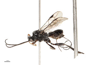  ( - CBG-B13905-E05)  @11 [ ] CreativeCommons - Attribution Share - Alike (2025) CBG Photography Group Centre for Biodiversity Genomics