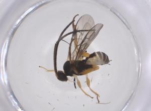  ( - CBG-B14464-E07)  @11 [ ] CreativeCommons - Attribution Share - Alike (2025) Centre for Biodiversity Genomics Centre for Biodiversity Genomics