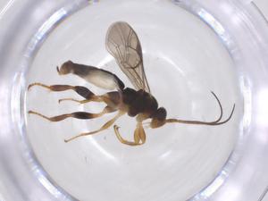  ( - CBG-B16845-D02)  @11 [ ] CreativeCommons - Attribution Share - Alike (2025) Centre for Biodiversity Genomics Centre for Biodiversity Genomics