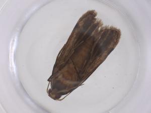  ( - CBG-A66265-A02)  @11 [ ] CreativeCommons - Attribution Share - Alike (2025) Centre for Biodiversity Genomics Centre for Biodiversity Genomics