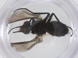  ( - CBG-A66691-C04)  @11 [ ] CreativeCommons - Attribution Share - Alike (2025) Centre for Biodiversity Genomics Centre for Biodiversity Genomics