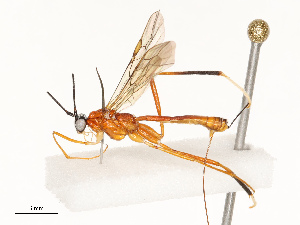  ( - CBG-A67834-G07)  @11 [ ] CreativeCommons - Attribution Share - Alike (2025) CBG Photography Group Centre for Biodiversity Genomics