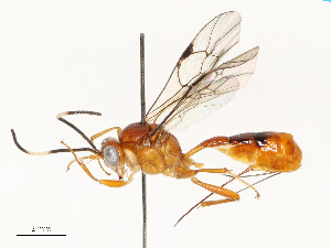  ( - CBG-A67834-G10)  @11 [ ] CreativeCommons - Attribution Share - Alike (2025) CBG Photography Group Centre for Biodiversity Genomics