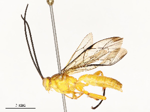  ( - CBG-A67848-G03)  @11 [ ] CreativeCommons - Attribution Share - Alike (2025) CBG Photography Group Centre for Biodiversity Genomics