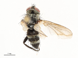  ( - CBG-A67850-C05)  @11 [ ] CreativeCommons - Attribution Share - Alike (2025) CBG Photography Group Centre for Biodiversity Genomics