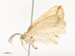  ( - CBG-A67850-E03)  @11 [ ] CreativeCommons - Attribution Share - Alike (2025) CBG Photography Group Centre for Biodiversity Genomics